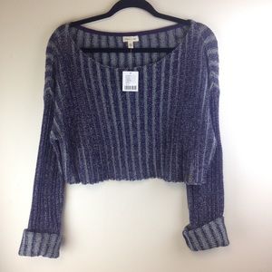 Silence + Noise Kylie Ribbed Cropped Sweater